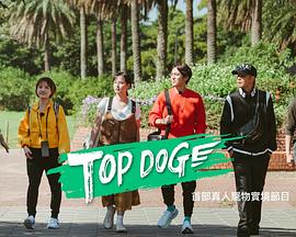 365吃瓜部落《TOP DOG》免费在线观看